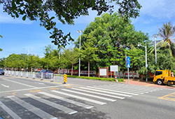 225国道精细化提升（三亚段）